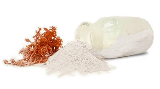 케미컬북의 카라기난 + 홍조류