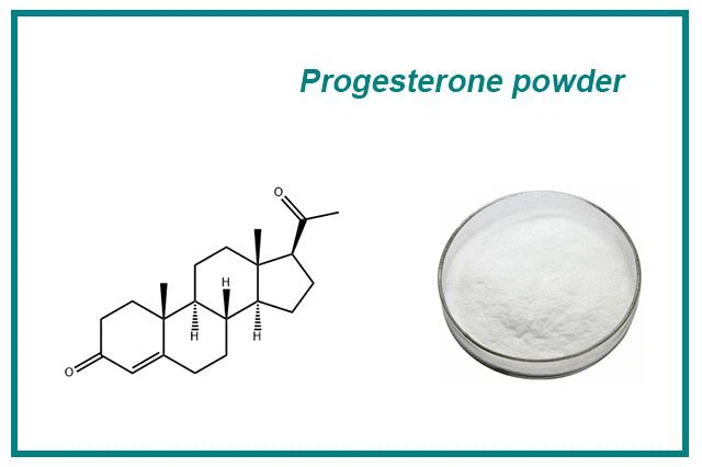 bột progesterone